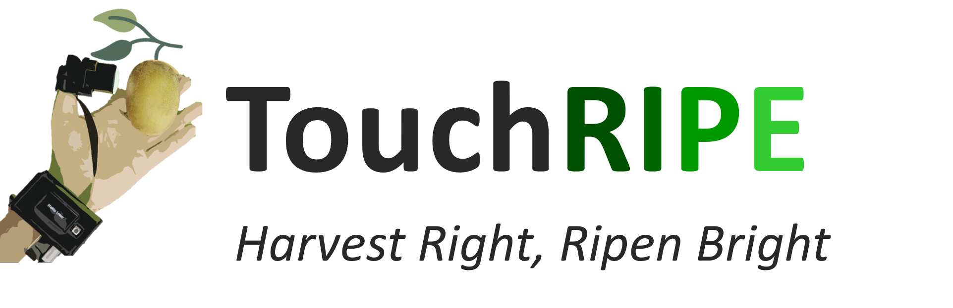 TouchRIPE