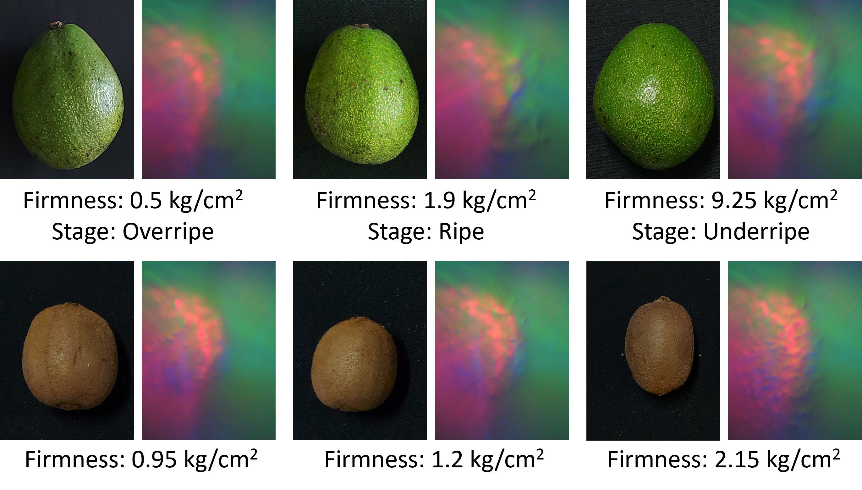Interpolate start reference image.